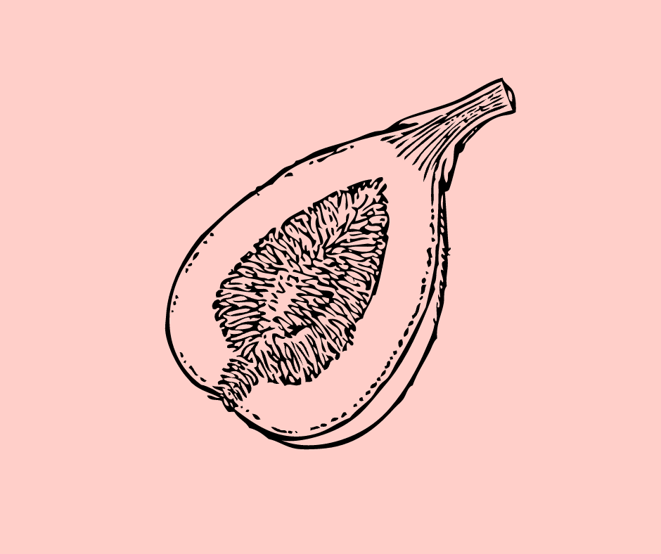 Quoi ma vulve, qu’est-ce qu’elle a ma vulve ?