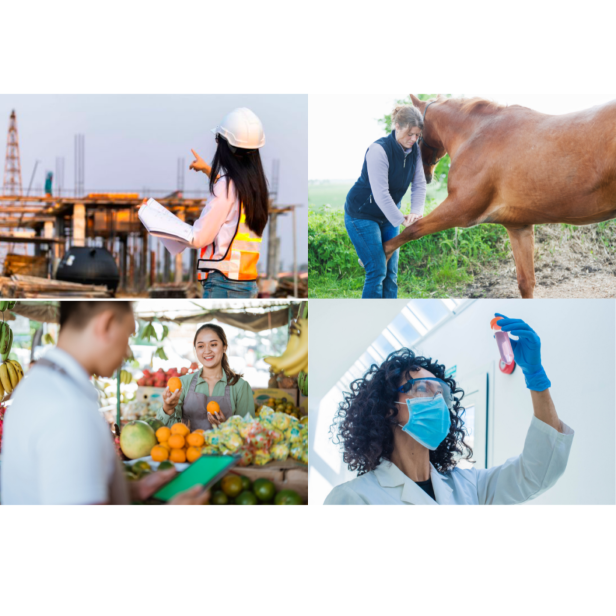 Le premier outil de mesure de l’inclusion en santé des femmes à l’attention des employeurs.